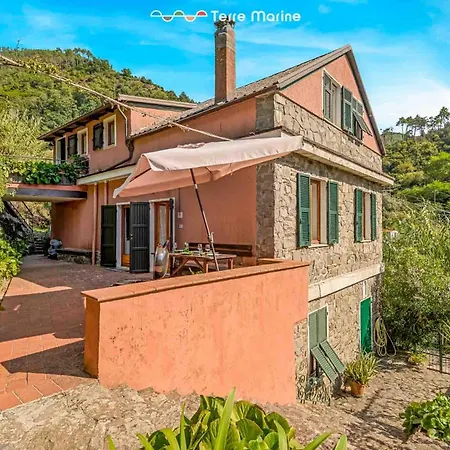 Firefly House, Terre Marine Apartmán